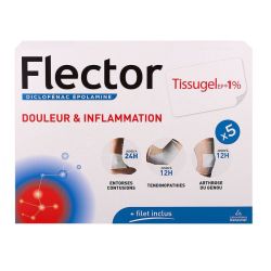 Flector Tissugel Ep 1% Empl  5