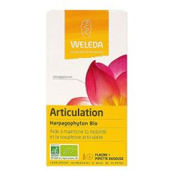 Weleda Epb Harpago S Buv Articul 60Ml