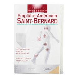 Saint Bernard Emplatre 15X22Cm