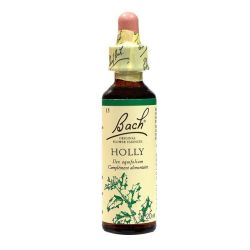 Fleurs De Bach Houx Elixir Floral Fl/20Ml