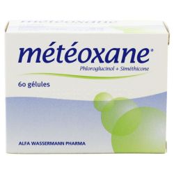 Meteoxane Gel Plq/60