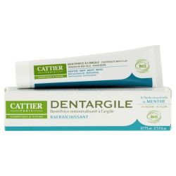 Dentargile Dent Menthe  T 100G