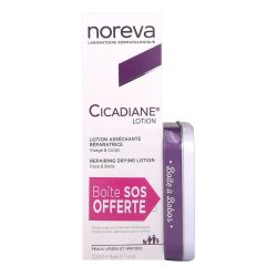 Cicadiane Lot Assech Repar 100 Ml