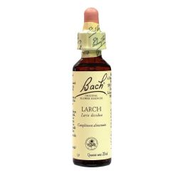 Fleurs De Bach Mélèze Elixir Floral Fl/20Ml